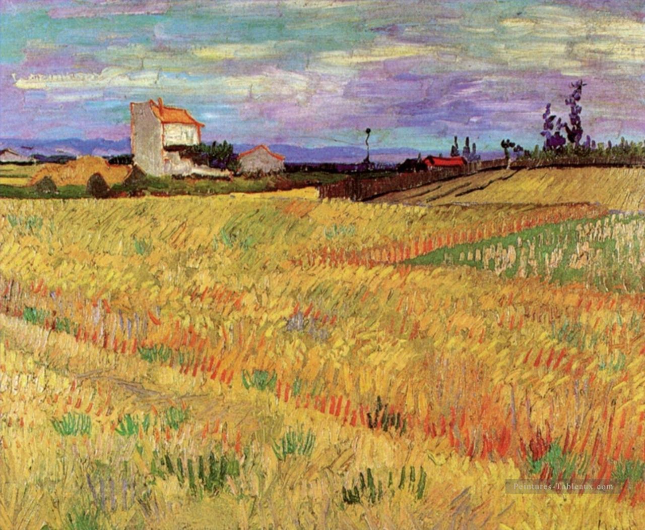 Champ de blé Vincent van Gogh Peintures à l'huile